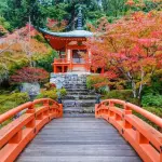 Le destinazioni di viaggio più belle da vedere in Giappone