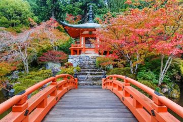 Viaggiare in Giappone, mete più belle da visitare in Giappone